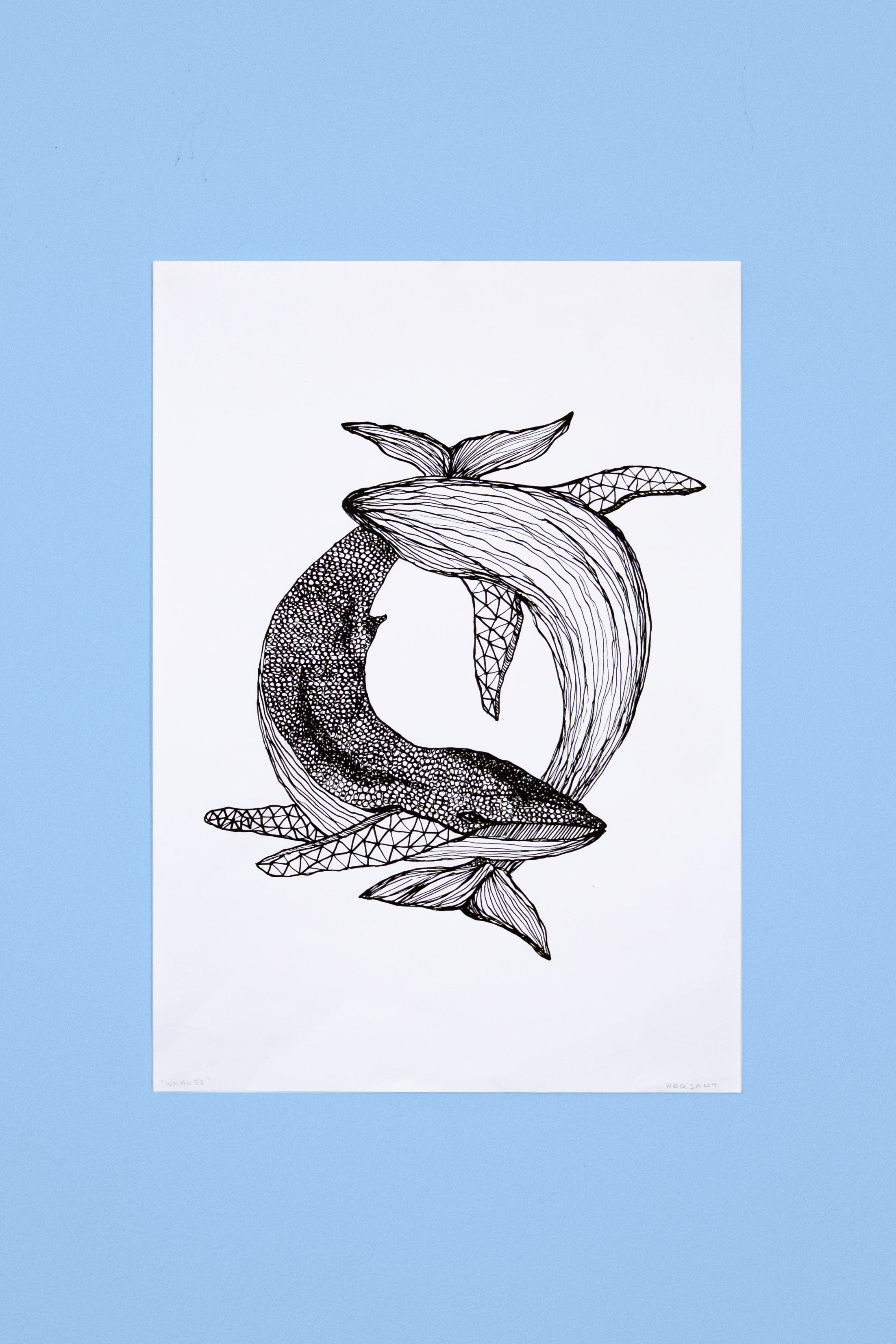 Cabo & Mira | Fine Art Print