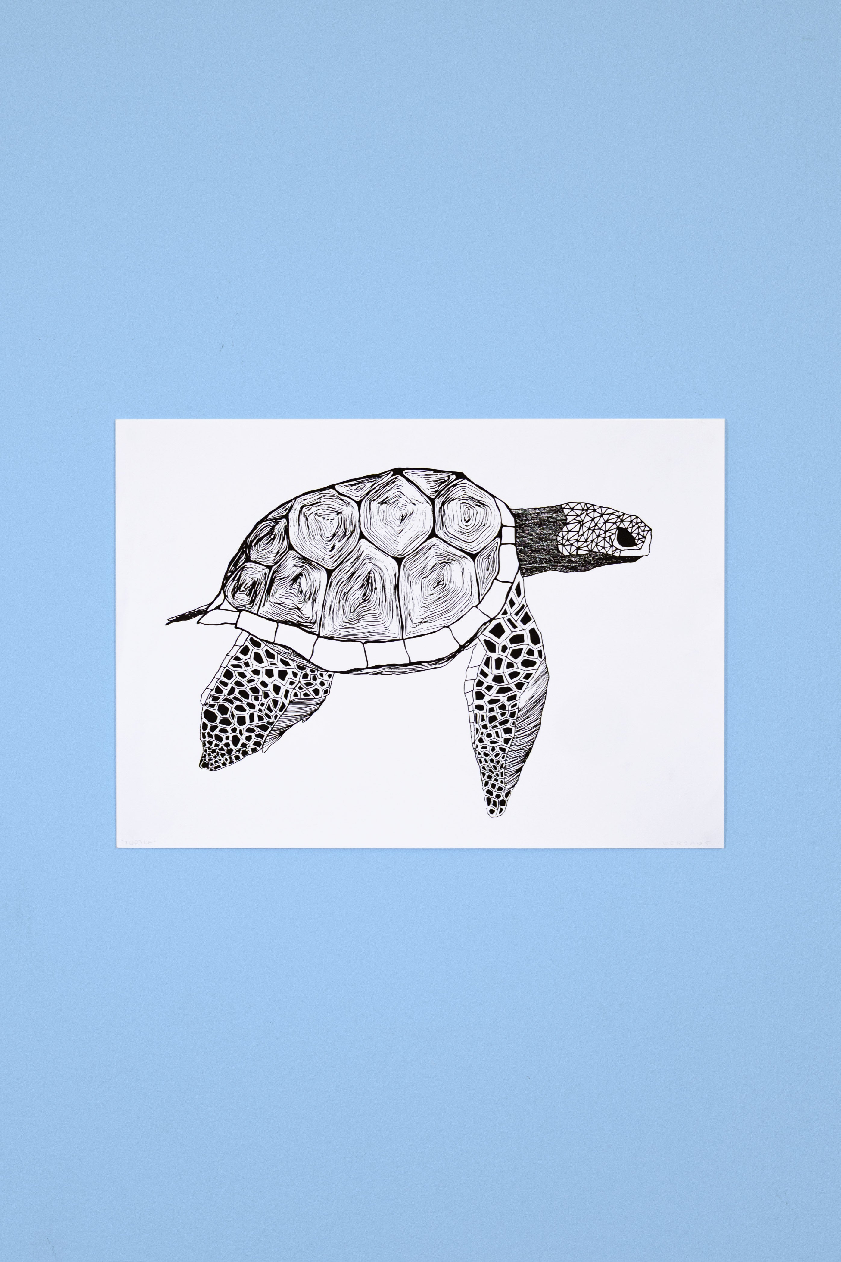 Keno | Fine Art Print